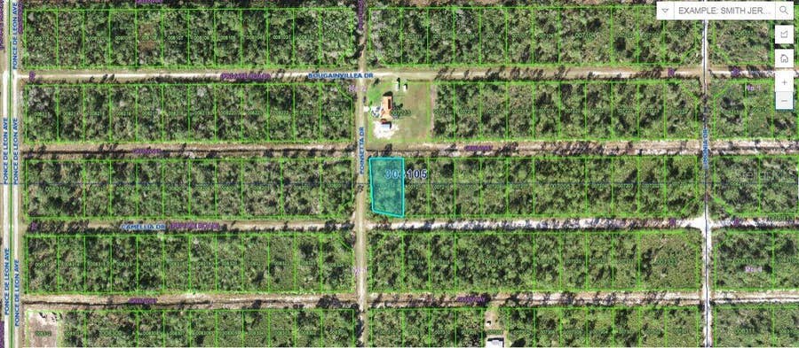 Property photo for 224 CAMELLIA DRIVE, Indian Lake Estates, FL