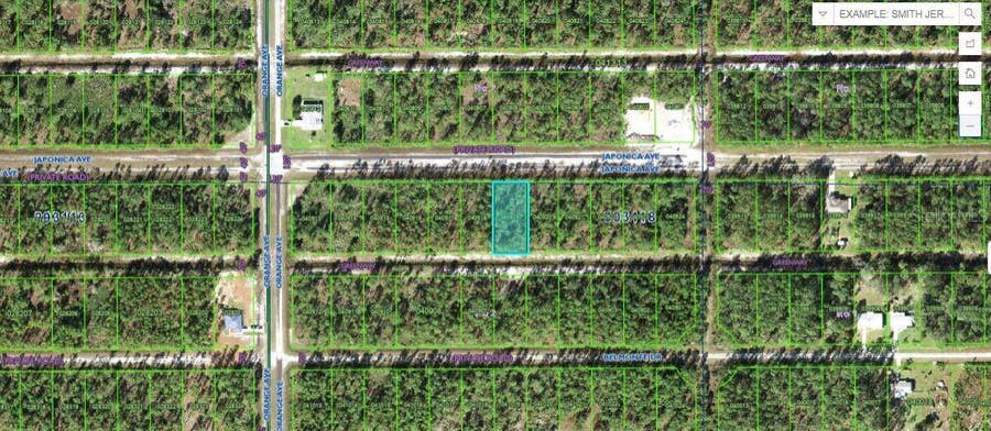 Property photo for 711 JAPONICA AVENUE, Indian Lake Estates, FL