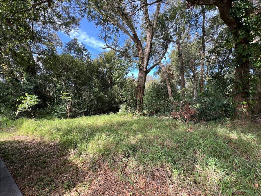 Property photo for 875 OCOEE APOPKA ROAD, Apopka, FL