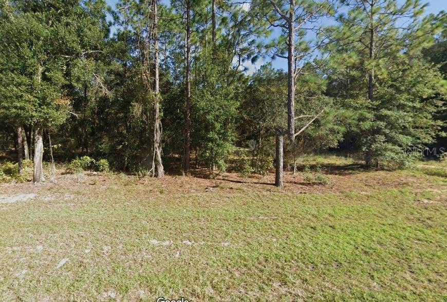 Property photo for MISSOURI AVENUE, Hawthorne, FL