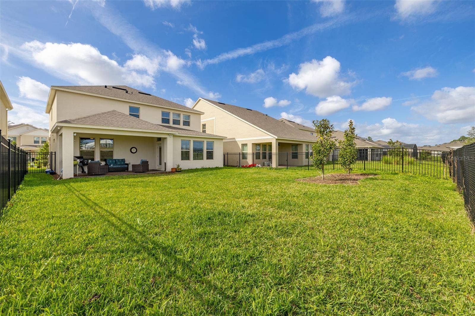 18339 OLIVER TWIST WAY, Winter Garden, FL 34787 oversized yard