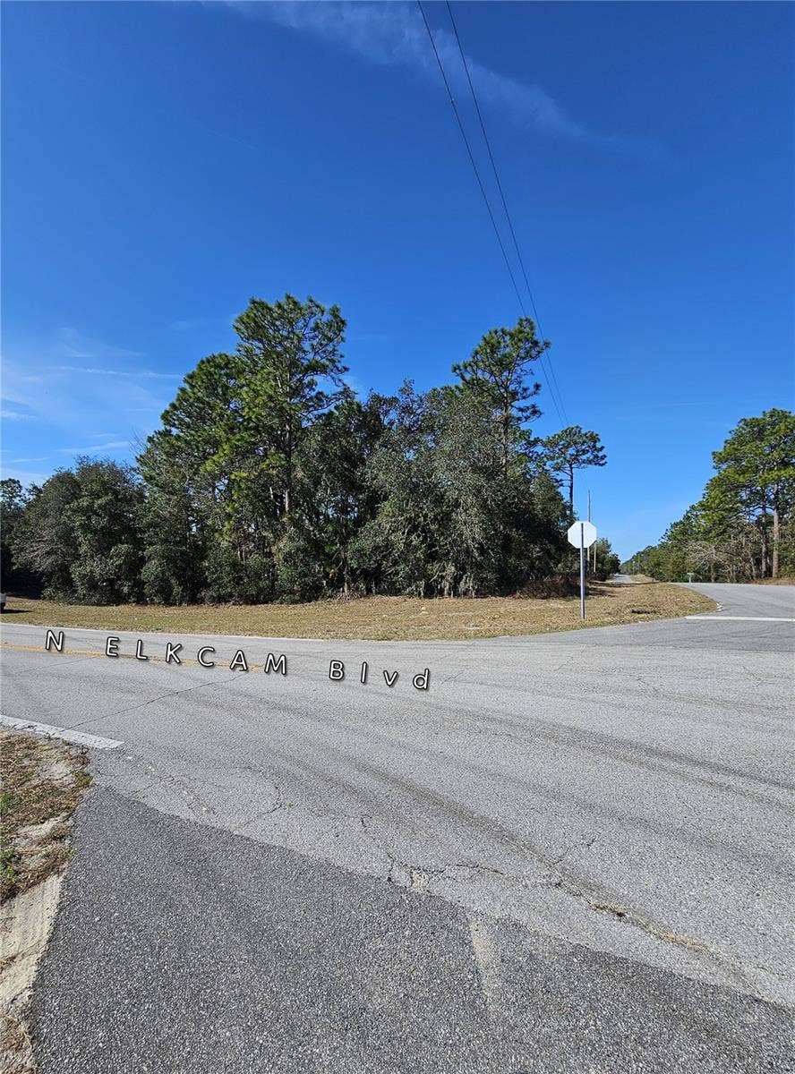 Property photo for 2914 W NAEGELIA PLACE, Citrus Springs, FL