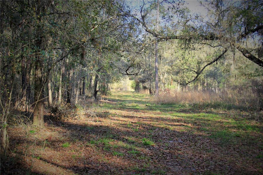 Property photo for CR 772B, Webster, FL