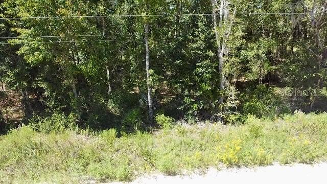 Property photo for NE 110TH COURT, Williston, FL