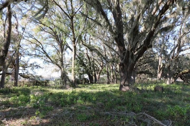 Property photo for CR 48, Bushnell, FL
