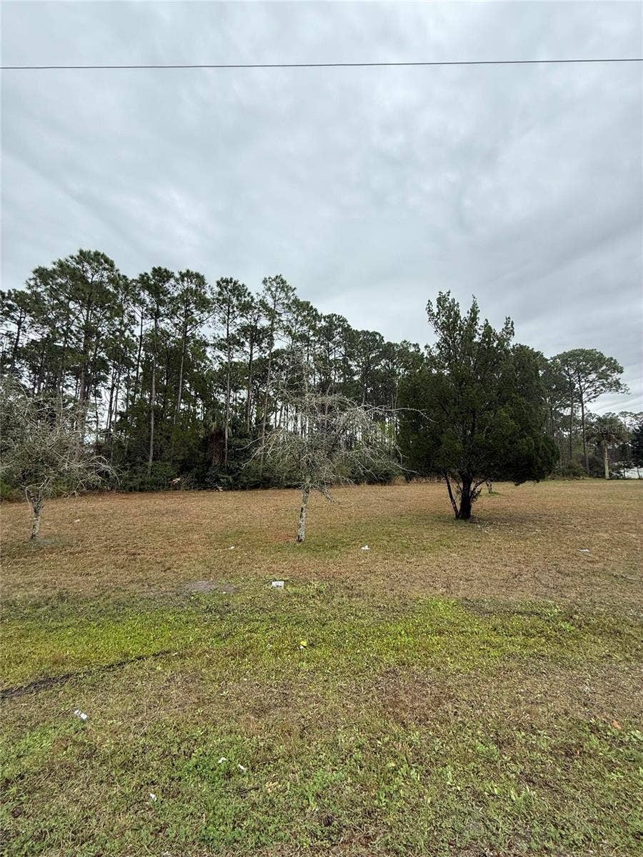 Property photo for 245 ULLIAN TRAIL, Palm Coast, FL