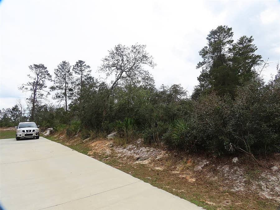 Property photo for 71 ORCHID COURT, Kissimmee, FL