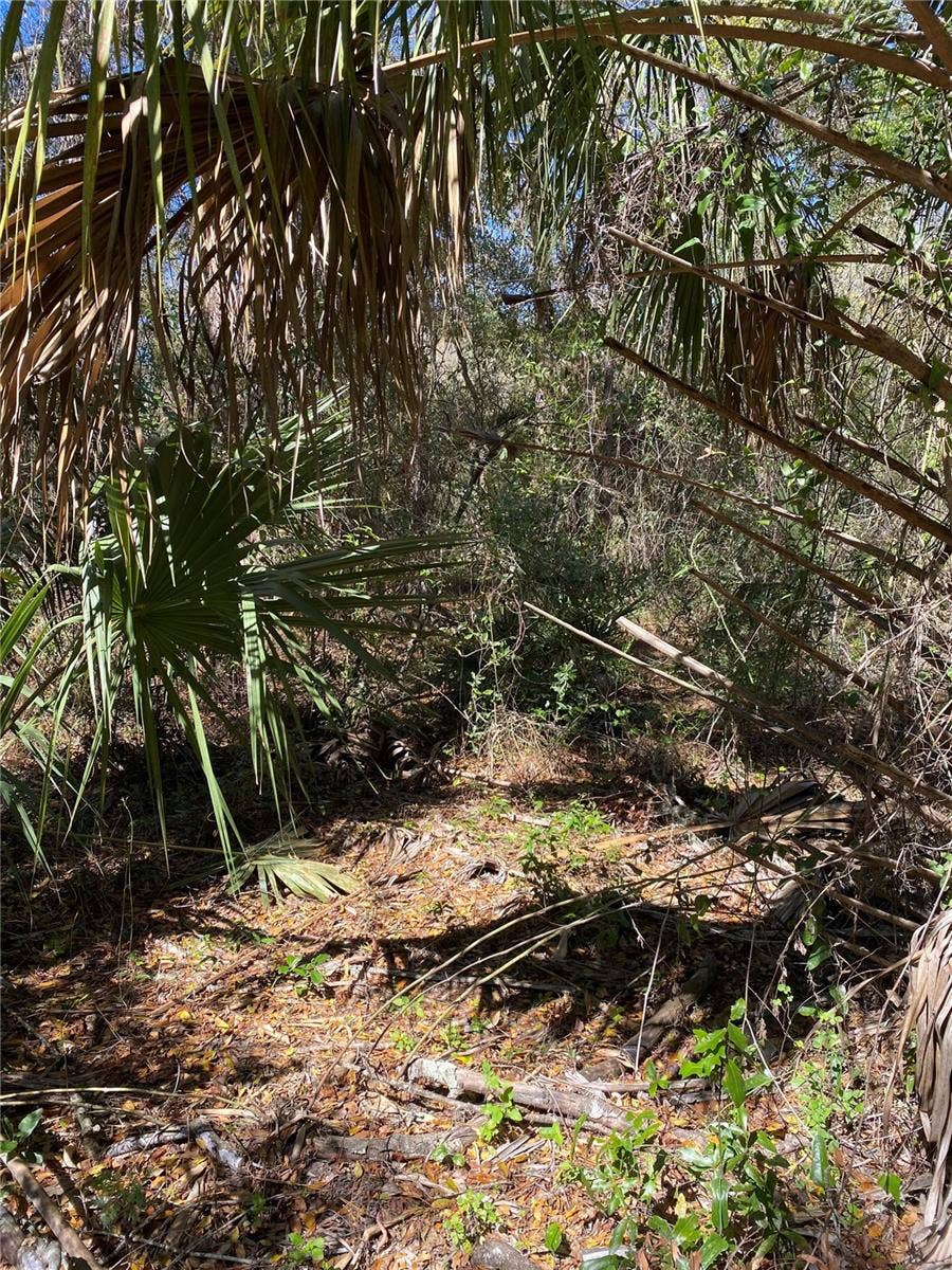 Property photo for 2519 W PLUMTREE LANE, Dunnellon, FL
