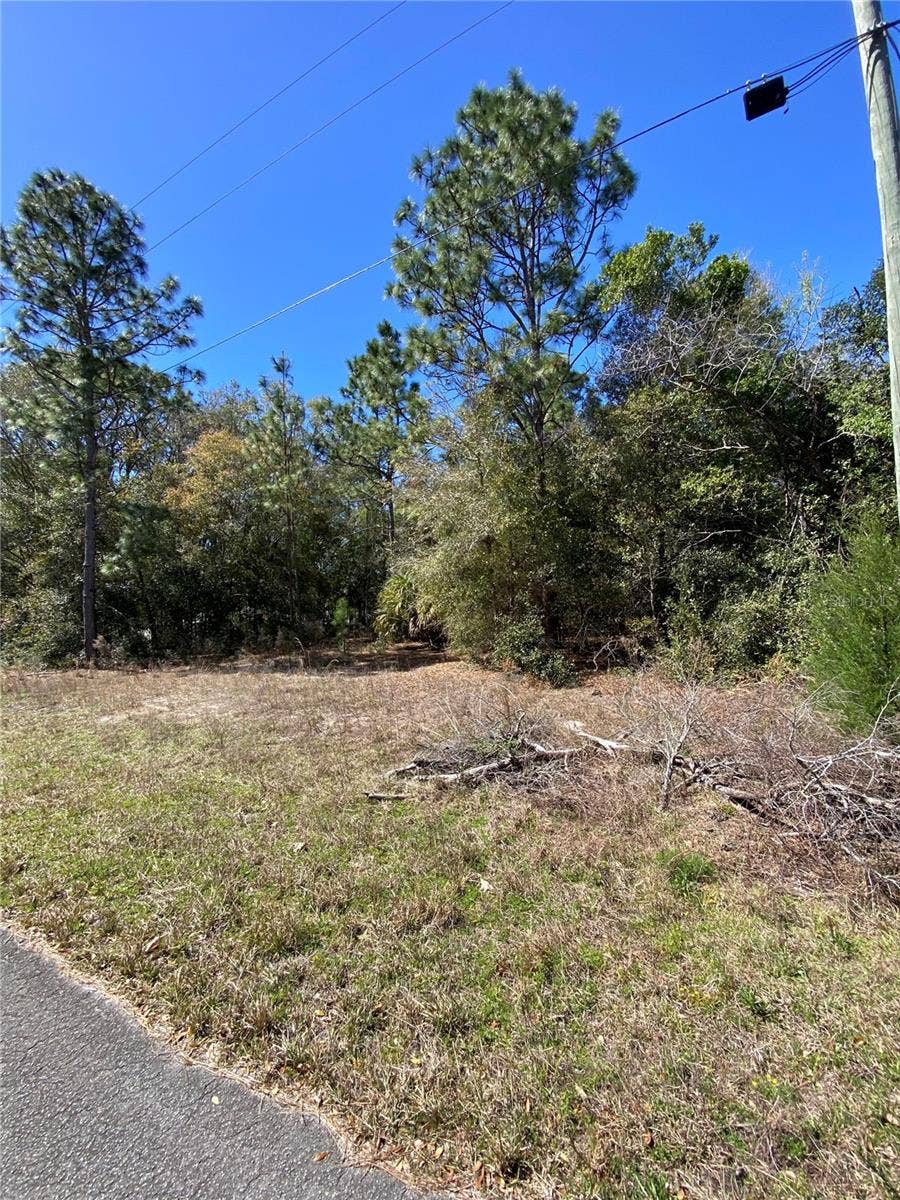 Property photo for 8630 N CATAPANE LOOP, Crystal River, FL