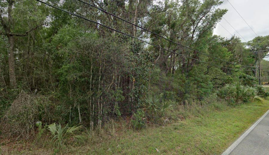 Property photo for REYNOLDS ROAD, De Leon Springs, FL
