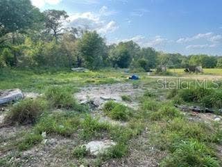 Property photo for 10725 DEMILLE ROAD, Polk City, FL