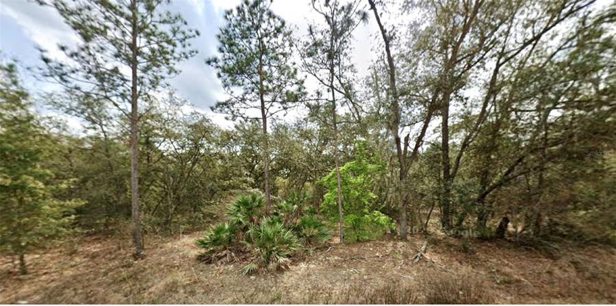 Property photo for 109 DOTTIE STREET, Interlachen, FL