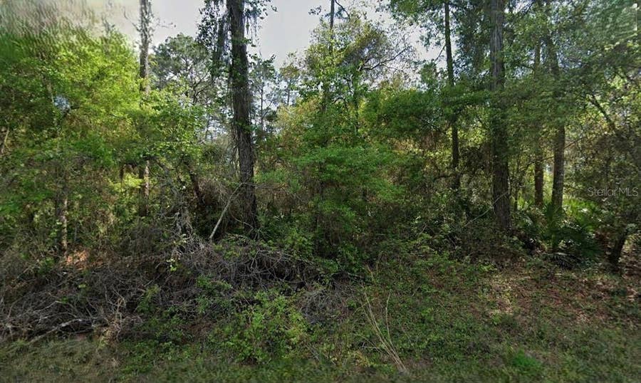 Property photo for NOT ASSIGNED, Crescent City, FL