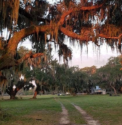 3650 LAKE TOHOPEKALIGA ROAD, St Cloud, FL 34772 3650 LAKE TOHOPEKALIGA ROAD, St Cloud, FL 34772