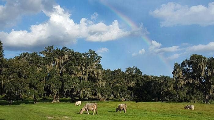3650 LAKE TOHOPEKALIGA ROAD, St Cloud, FL 34772 3650 LAKE TOHOPEKALIGA ROAD, St Cloud, FL 34772