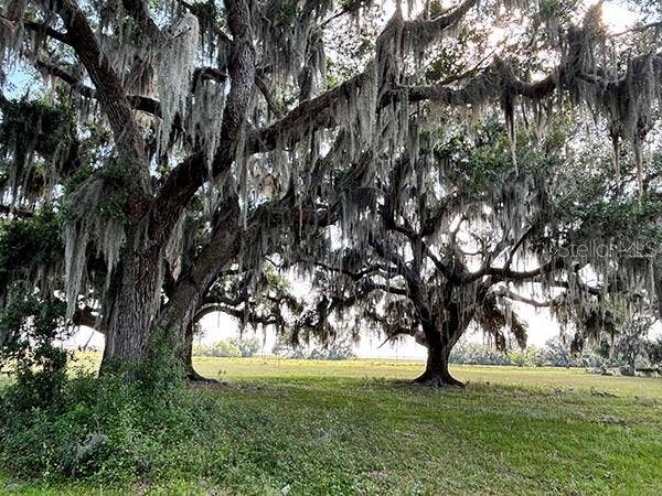 3650 LAKE TOHOPEKALIGA ROAD, St Cloud, FL 34772 3650 LAKE TOHOPEKALIGA ROAD, St Cloud, FL 34772