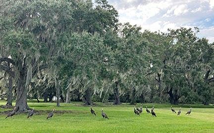 3650 LAKE TOHOPEKALIGA ROAD, St Cloud, FL 34772 3650 LAKE TOHOPEKALIGA ROAD, St Cloud, FL 34772