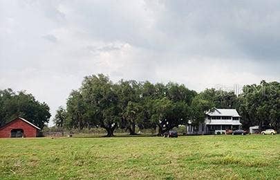 3650 LAKE TOHOPEKALIGA ROAD, St Cloud, FL 34772 3650 LAKE TOHOPEKALIGA ROAD, St Cloud, FL 34772