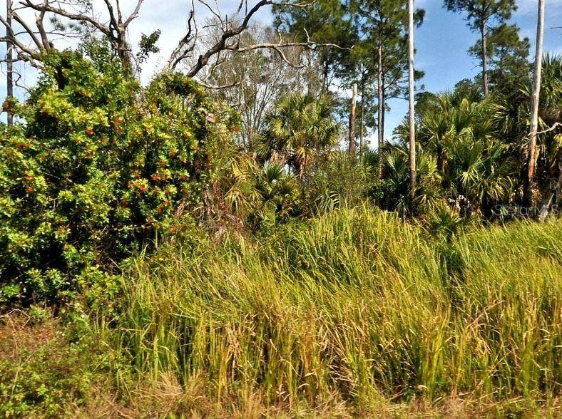 Property photo for FIREBIRD ROAD, North Port, FL