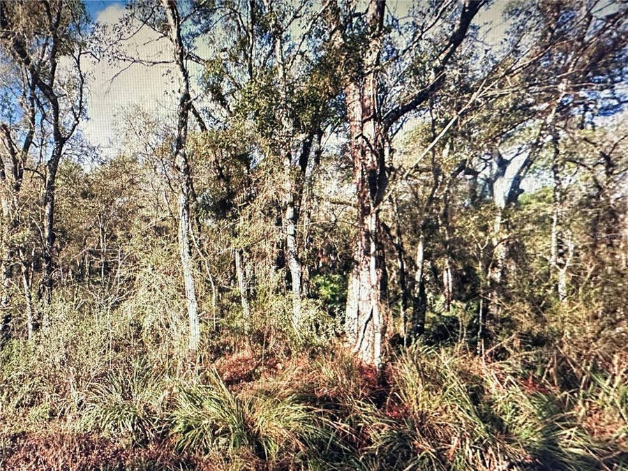 Property photo for TABLE ROCK DRIVE, Webster, FL