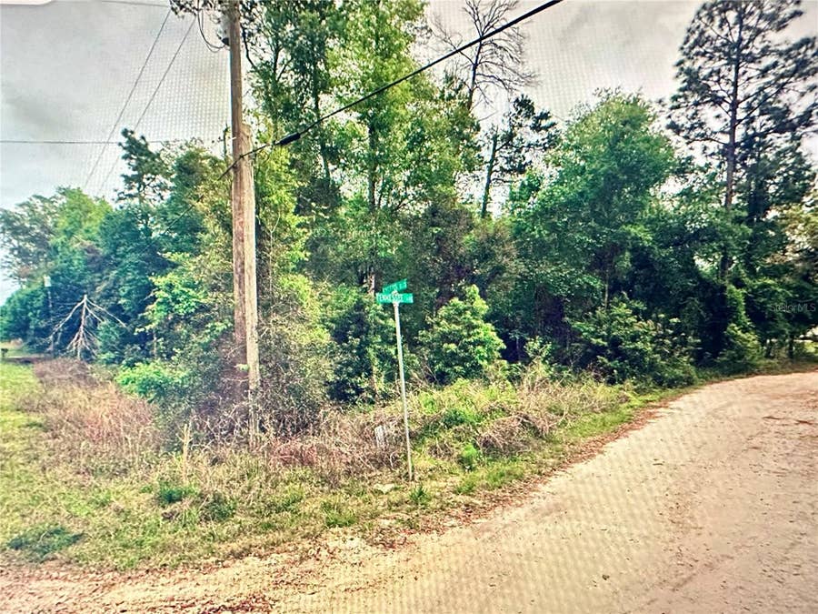 Property photo for 219 KINGSTON BOULEVARD, Satsuma, FL