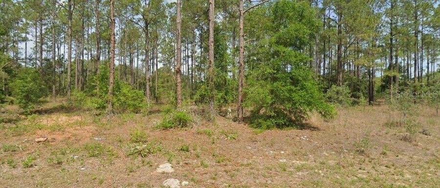 Property photo for 10940 N LETTERWOOD WAY, Dunnellon, FL