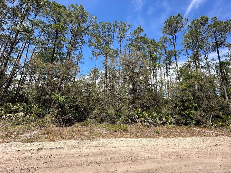 Property photo for 206 HUDSON STREET, Interlachen, FL
