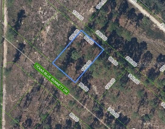 Property photo for 6139 TEXAS BLUE BONNETT DRIVE, Sebring, FL