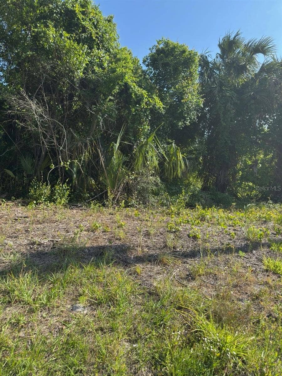 Property photo for 431 BIRCH BOULEVARD, Georgetown, FL