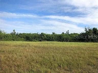 Property photo for 339 NE 19TH TERRACE, Cape Coral, FL
