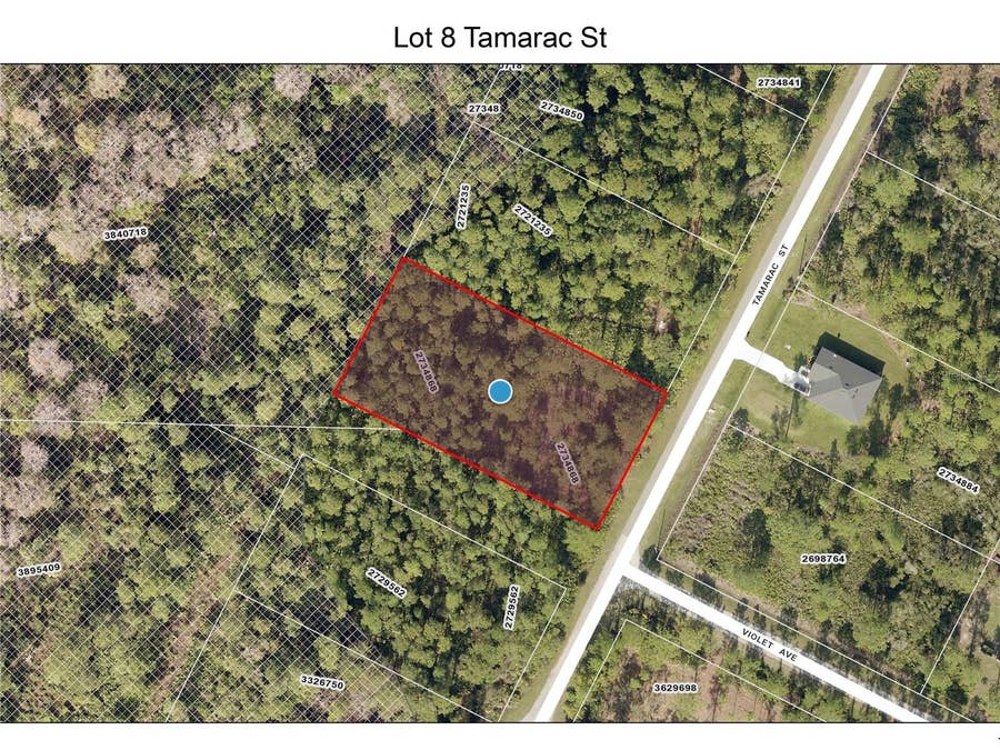 Property photo for LOT 8 TAMARAC STREET, Eustis, FL
