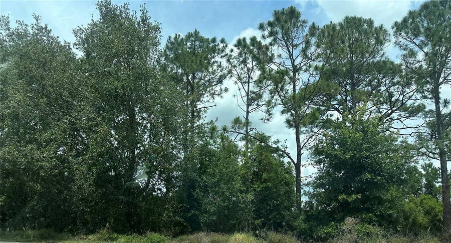 Property photo for SR-535, Orlando, FL