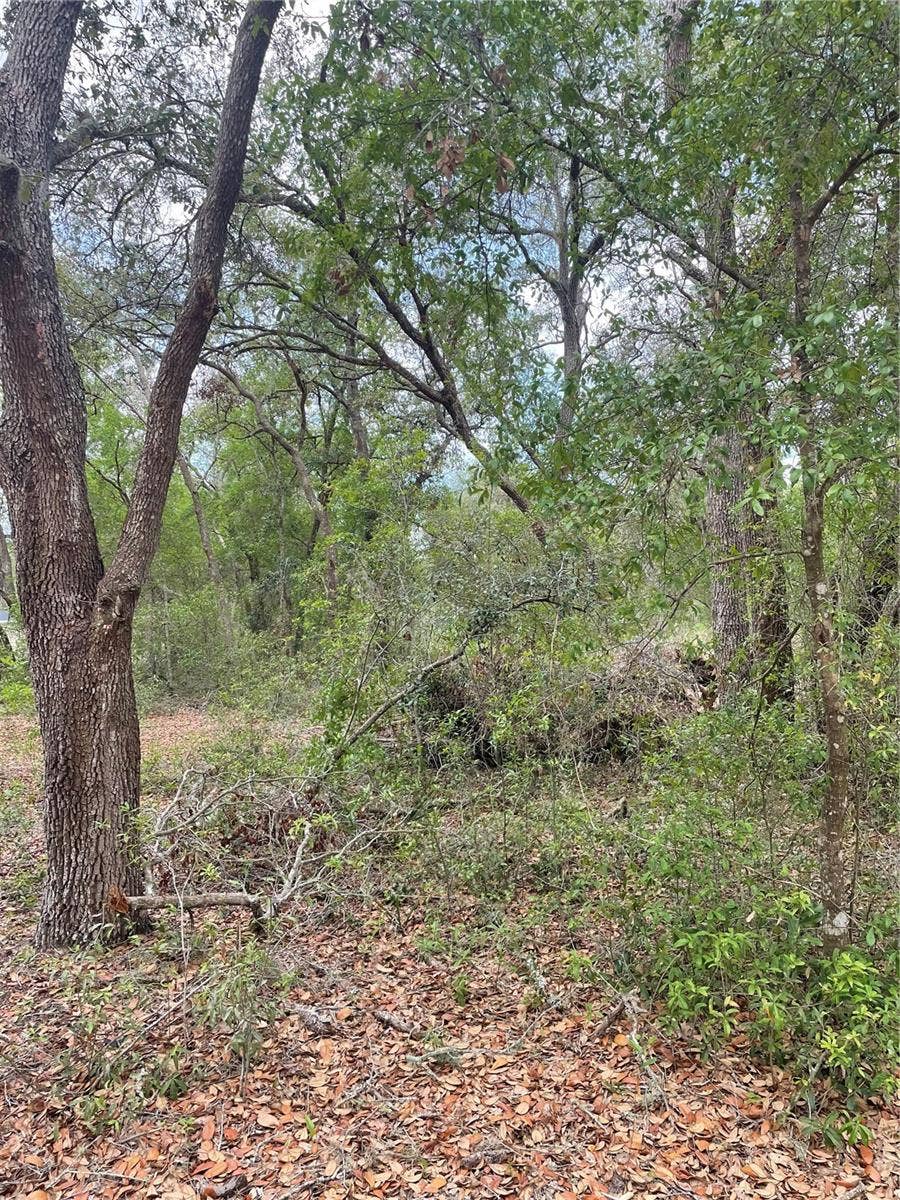 Property photo for JUNIPER STREET, Lady Lake, FL