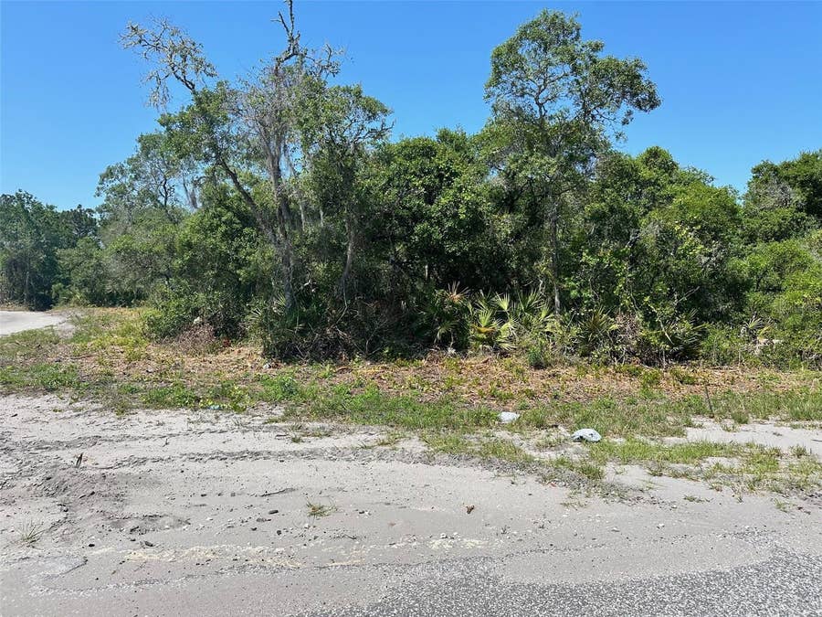 Property photo for TBD FISHER WAY, Ocklawaha, FL