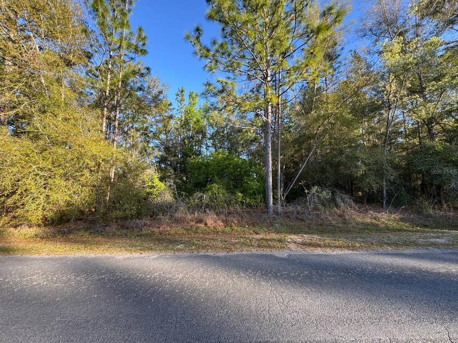Property photo for 7898 N POCONO DRIVE, Citrus Springs, FL