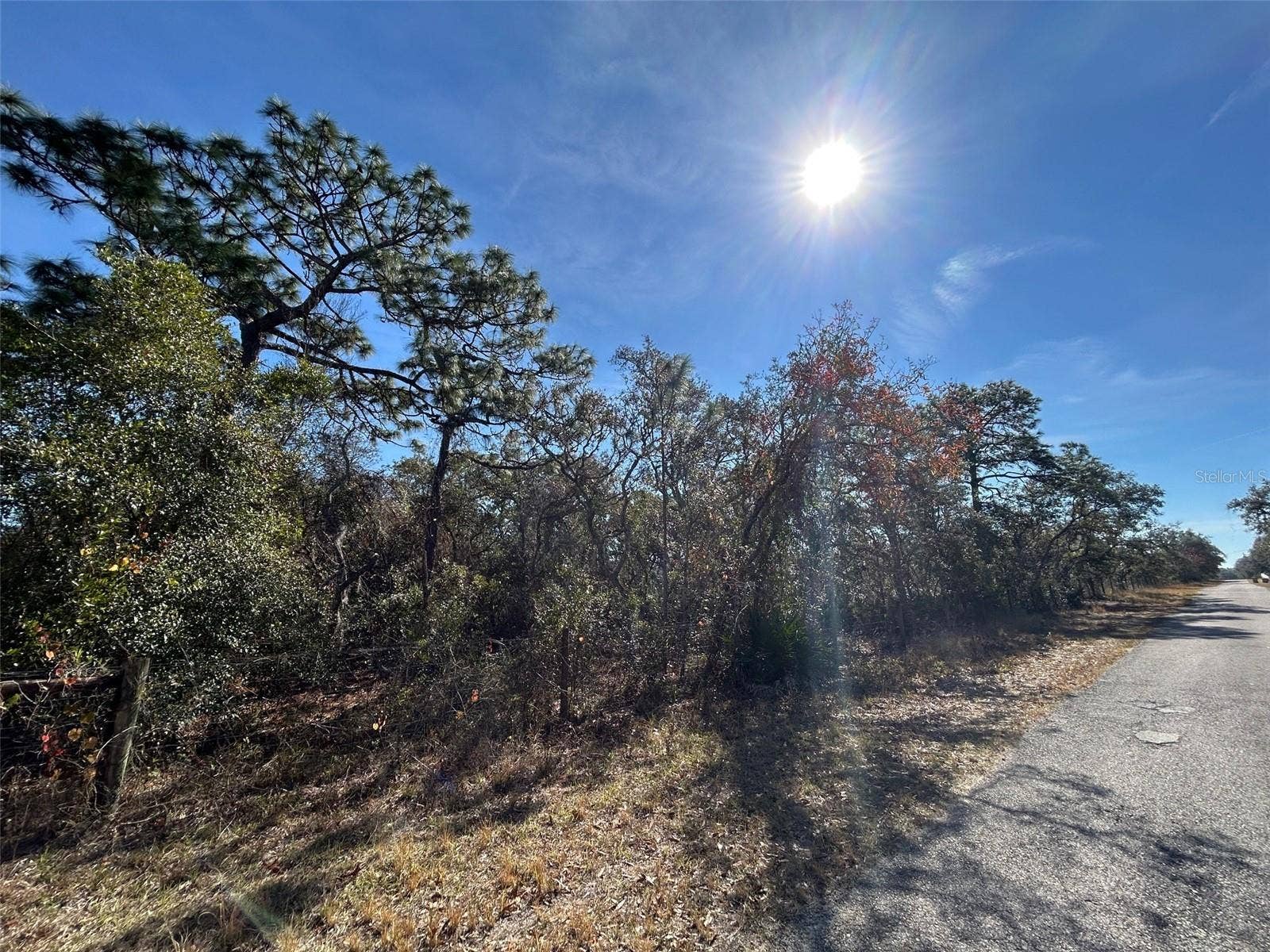 9940 BLACK BEAR LANE, Winter Garden, FL 34787 9940 BLACK BEAR LANE, Winter Garden, FL 34787
