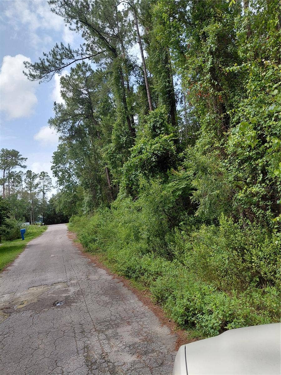 Property photo for JAMES STREET, Astor, FL