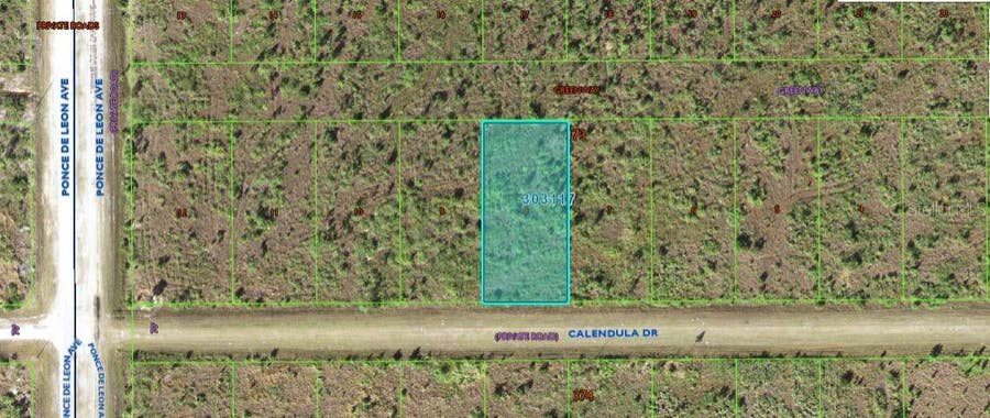 Property photo for 316 CALENDULA DRIVE, Indian Lake Estates, FL