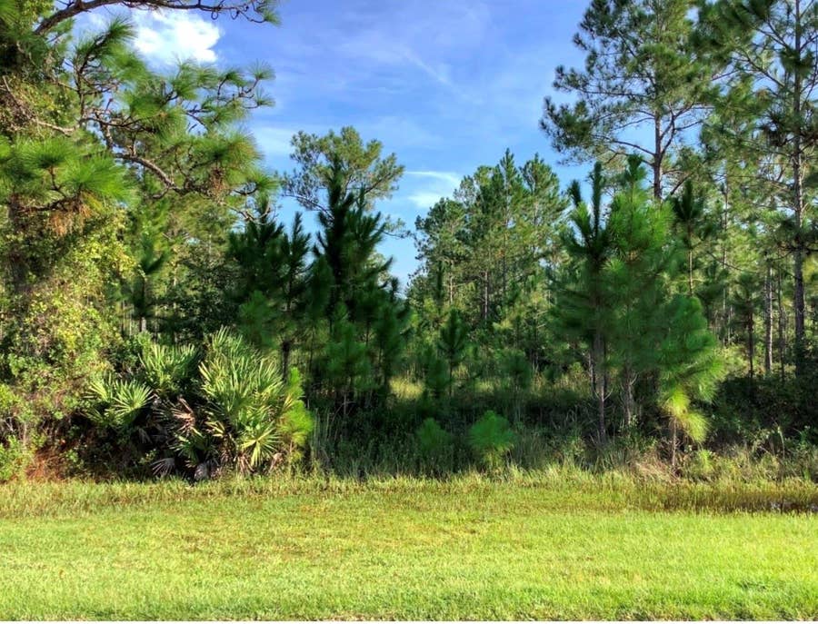 Property photo for Lot 120 SABAL STREET, Orlando, FL