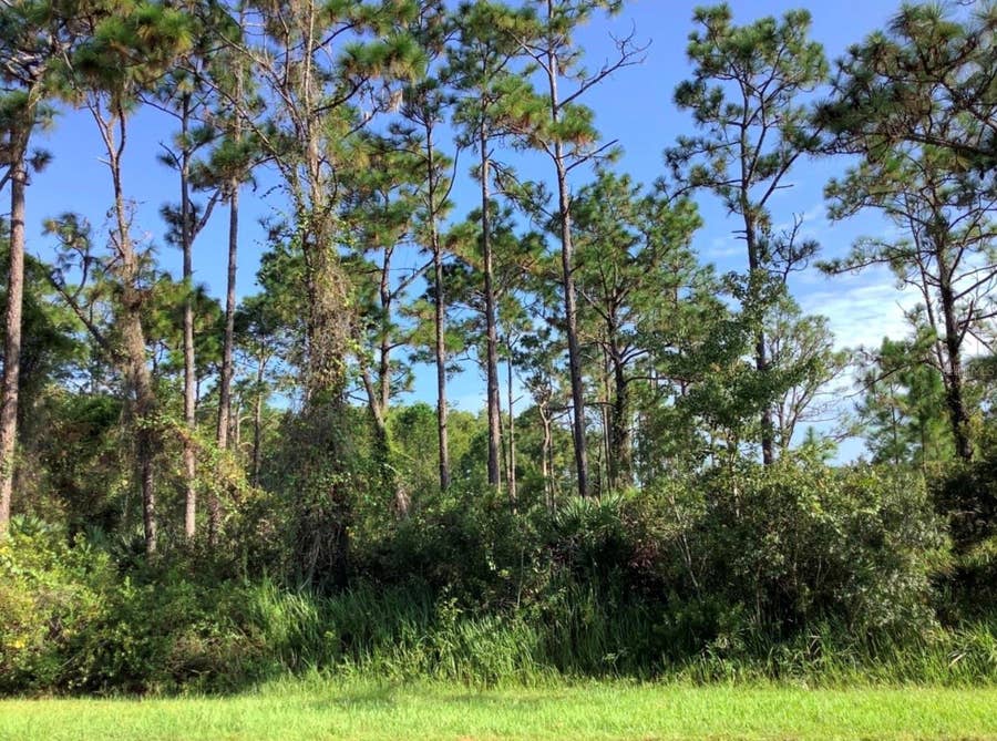 Property photo for QUINELLA STREET, Orlando, FL