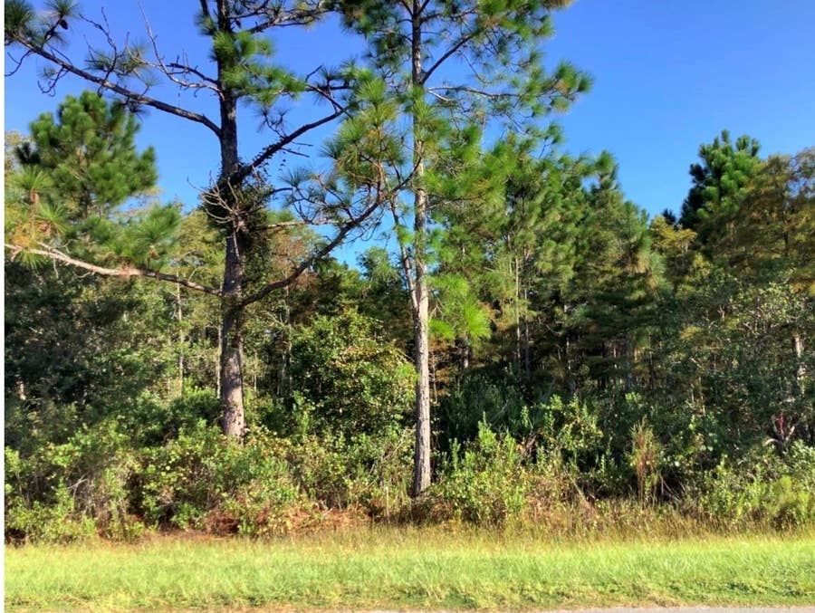 Property photo for RALSTON STREET, Orlando, FL