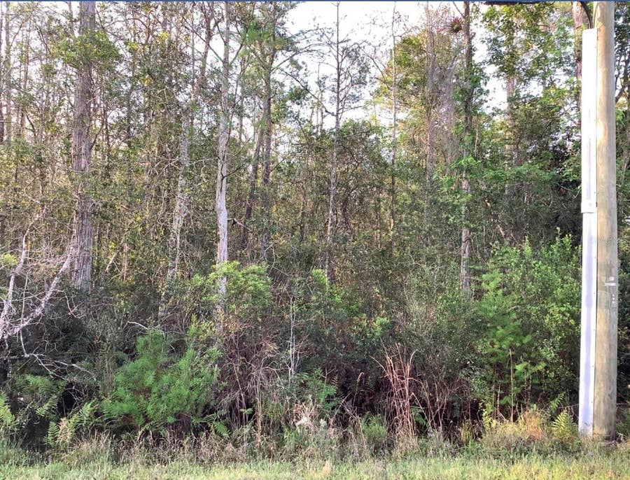 Property photo for 20828 QUINLAN STREET, Orlando, FL