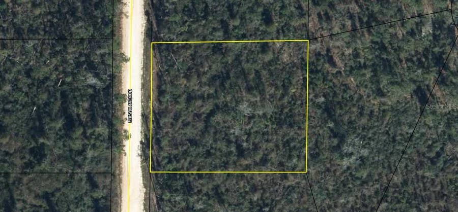 Property photo for EDISON AVENUE, Alford, FL