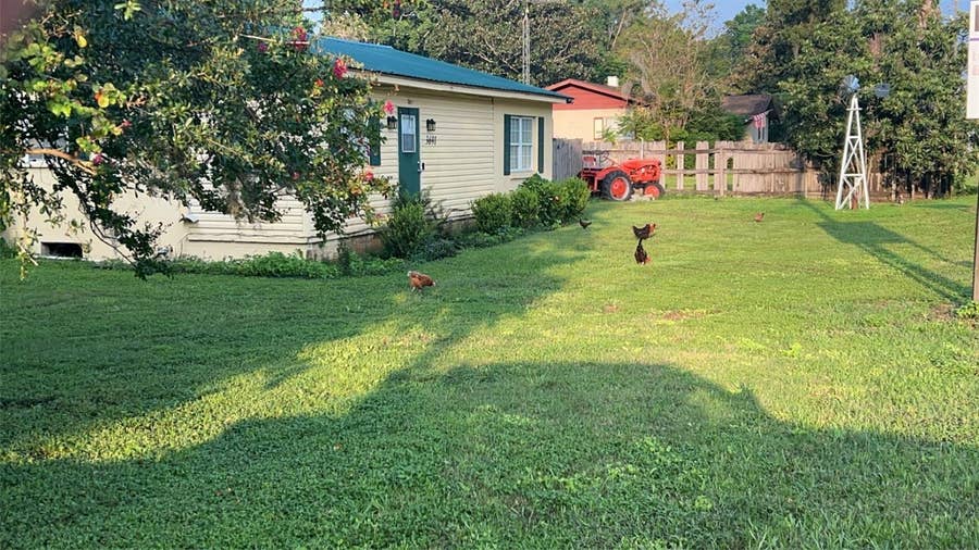 Property photo for 3691 E COUNTY ROAD 466, Oxford, FL