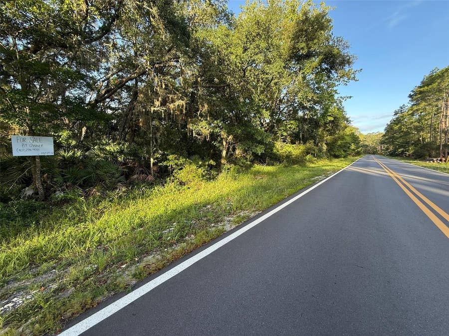 Property photo for 161 WALLACE STREET, Interlachen, FL
