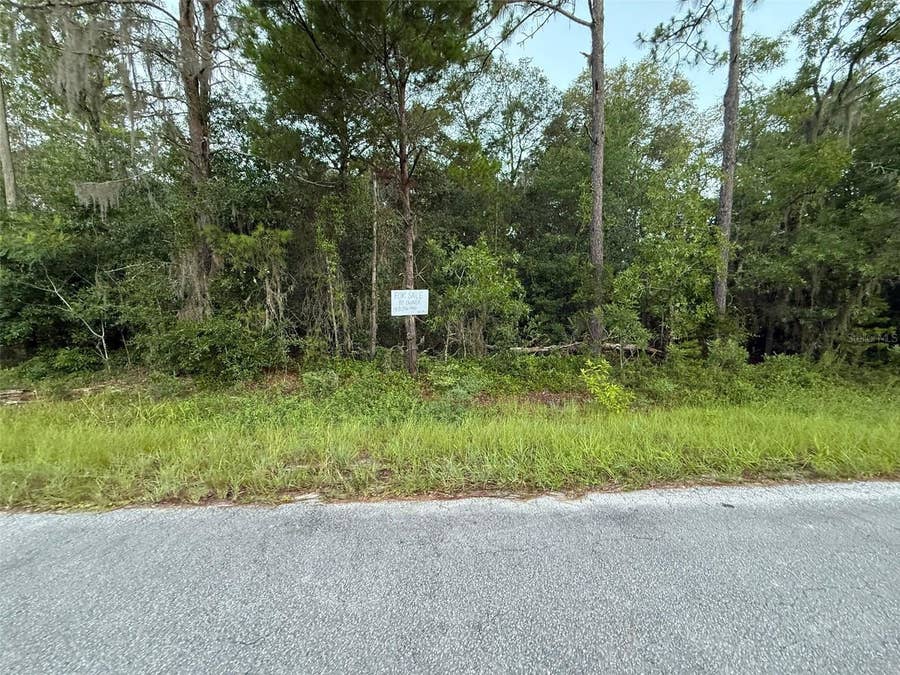 Property photo for 905 E HILLSBOROUGH AVENUE, Florahome, FL