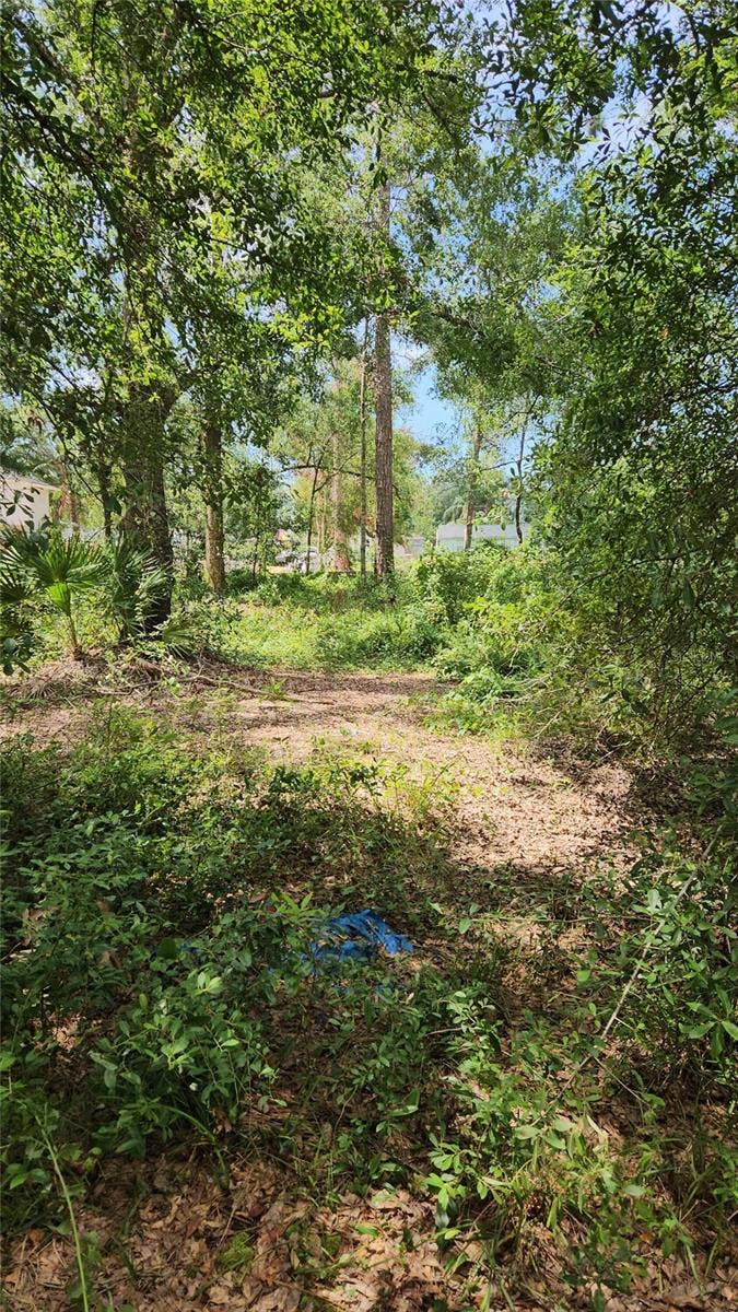 Property photo for 7624 ANNO STREET, Tampa, FL