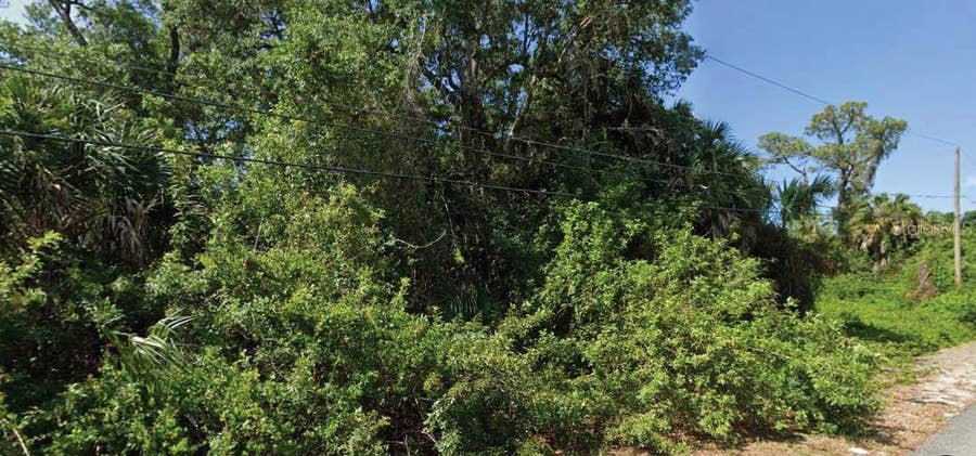 Property photo for DIAMOND AVENUE, North Port, FL