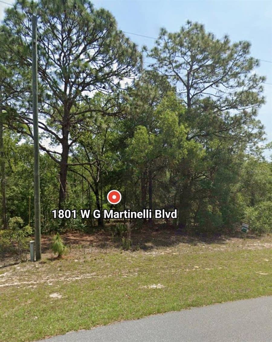 Property photo for 1801 W G MARTINELLI BLVD, Citrus Springs, FL