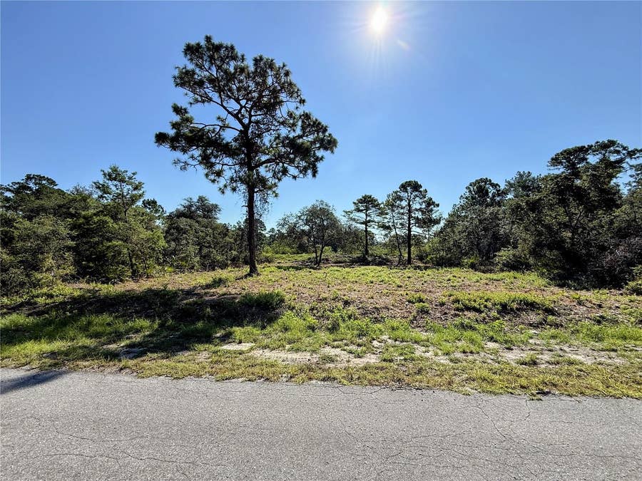Property photo for 0 MALAUKA PASS, Ocklawaha, FL